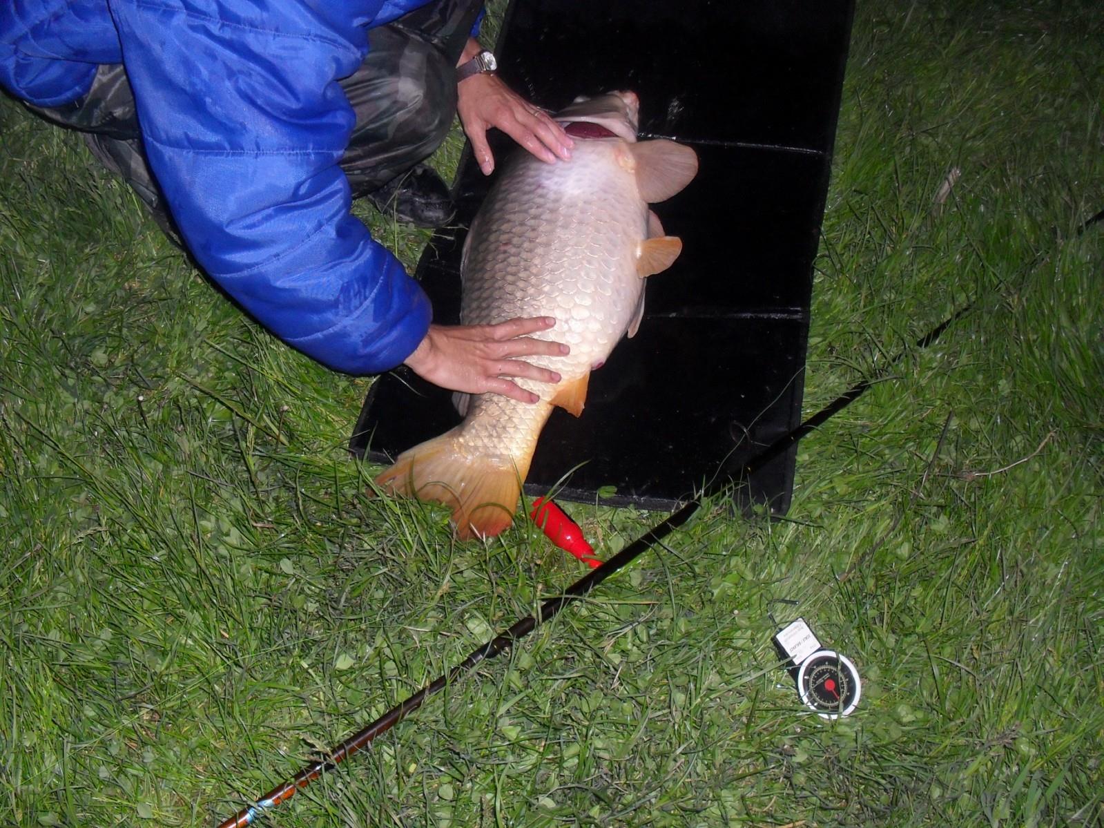 Crapi de Cornesti - SDC12979 [1600x1200].JPG